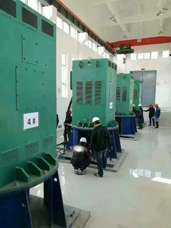黑山某污水处理厂使用我厂的立式高压电机安装现场