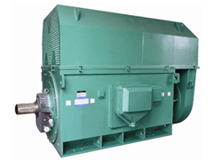 黑山Y系列6KV高压电机
